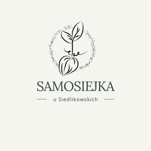 Samosiejka - Z Widokiem Na Jezioro Villa Lidzbark Welski Eksteriør billede